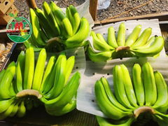 FRESH CAVENDISH BANANA HIGH QUALITY FROM VIETNAM