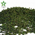 Kuding Tea Super Grade China slimming tea hot-sale bitter tea 3