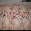 High Quality Halal Grad A Frozen Chicken For Sale 1
