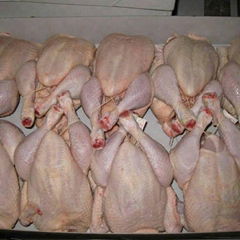 High Quality Halal Grad A Frozen Chicken For Sale