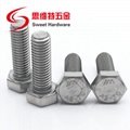 Stainless steel carbon steel zinc plated hex bolt DIN933 2