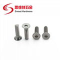 Samples available allen hex flat head screw DIN7991 304 stainless steel  1