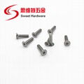 Samples available allen hex flat head screw DIN7991 304 stainless steel  3