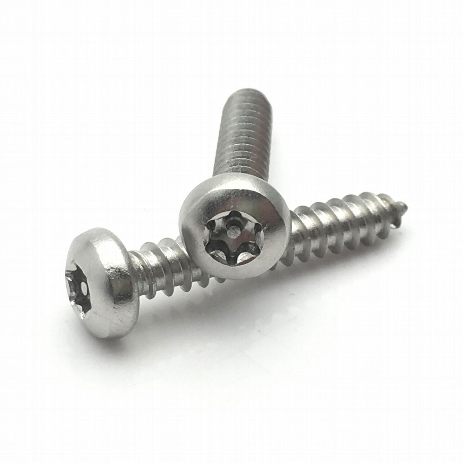 Stainless steel 304 Torx Pin-In pan head drive tapping screws