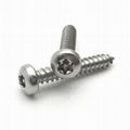 Stainless steel 304 Torx Pin-In pan head