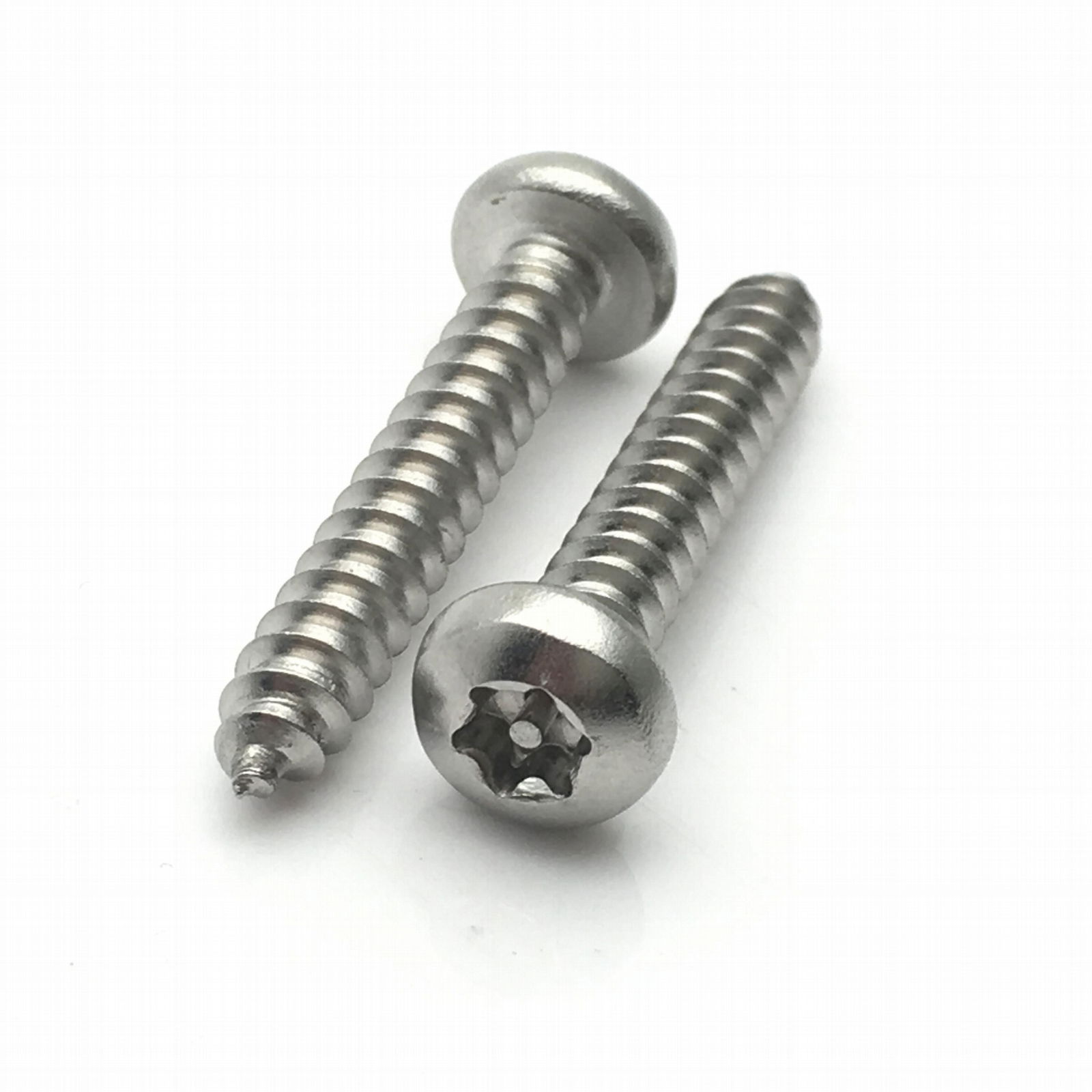  Stainless steel 304 Torx Pin-In pan head drive tapping screws 2