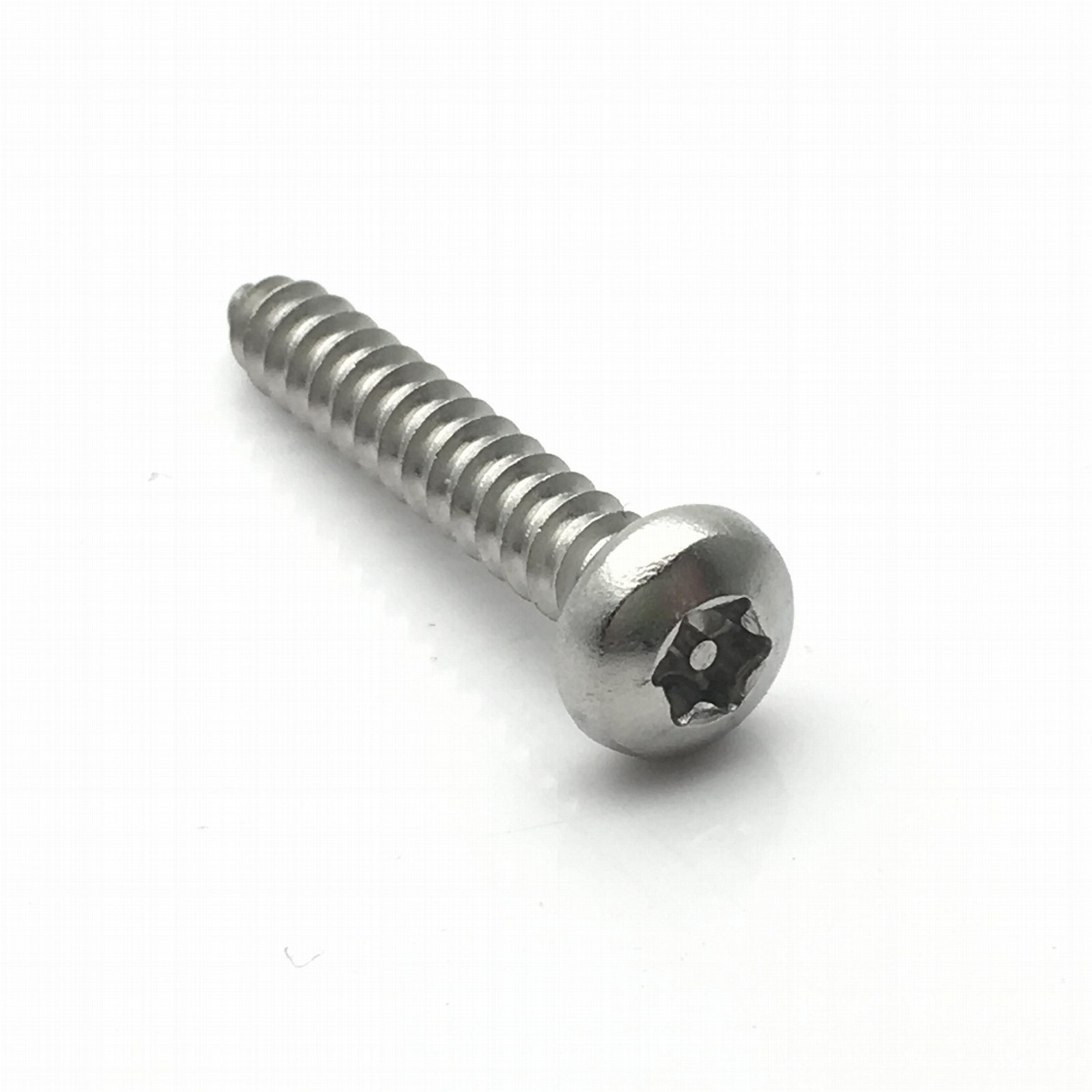 Stainless steel 304 Torx Pin-In pan head drive tapping screws 4