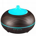 Aromatherapy Humidifier Purifier