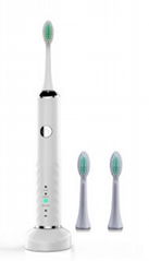 V701 Induction Charging Electric Toothbrush
