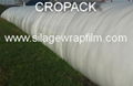 Silage bags 1