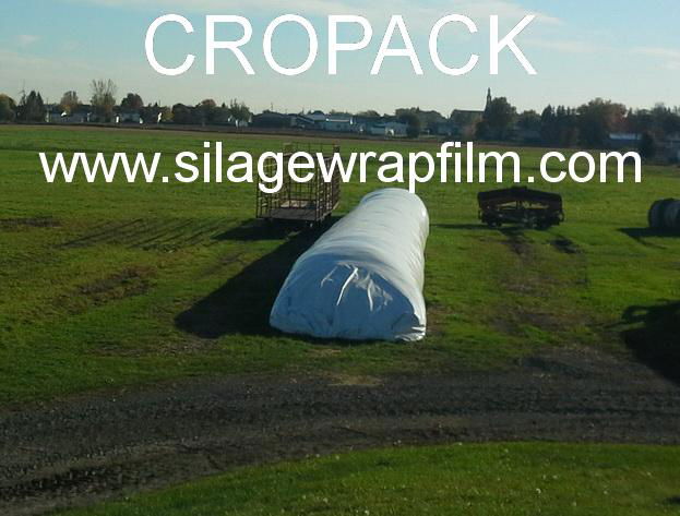 Silage bags 2
