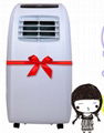 Household air conditioner 1