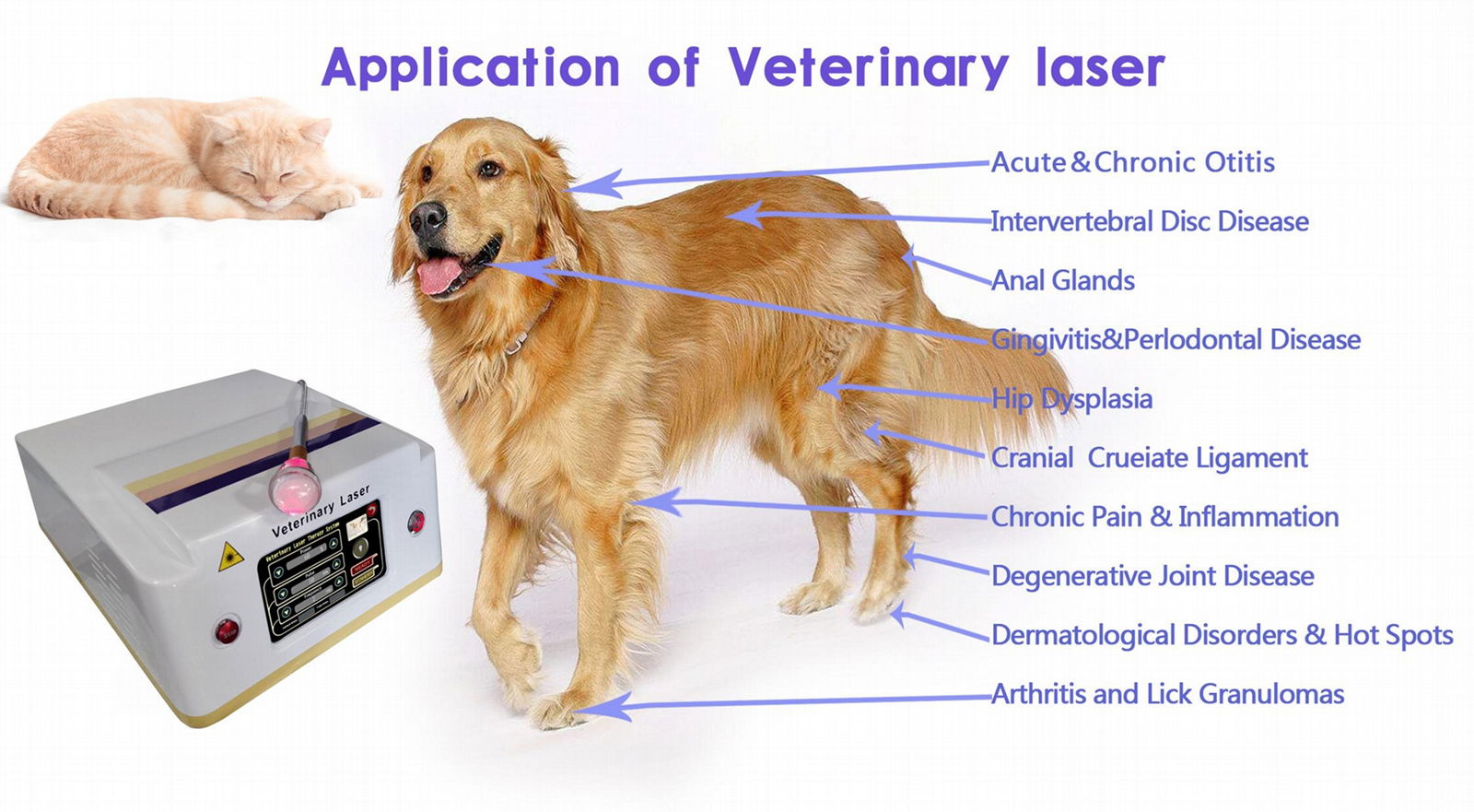 NO.2--- Veterinary Laser Therapy Equipment 4