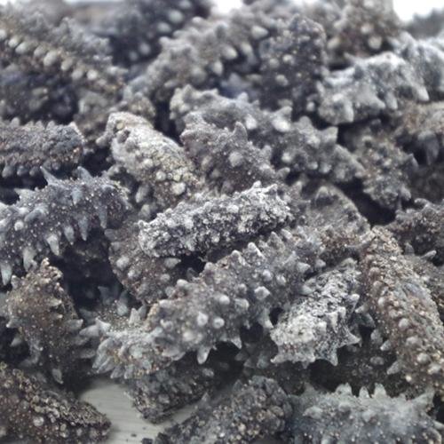 We are offering dry sea cucumber