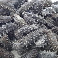 We are offering dry sea cucumber 1