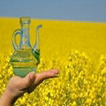 Sunflower Oil Available 1