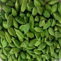 Green Cardamom Seed Available