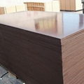 construction plywood film faced plywood with high quality 1