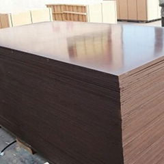 construction plywood film faced plywood with high quality