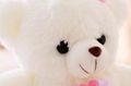 qiuyoujuan Valentine′s Day Gifts Bear Toy 4