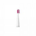 Toothbrush Head Clean Teeth Toothbrush 2