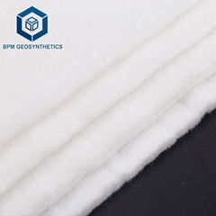 BPM Staple Fiber Needle Punched Geotextile