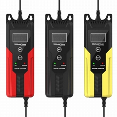 WolvesPower Car Battery Charger