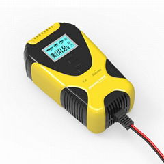 WolvesPower Car Battery Charger