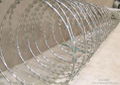 Razor wire