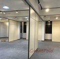 Professional manufacturer partitioning partition wall 5