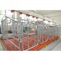 High Quality Low Price Pig gestation crates Pig Farm  1