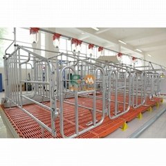 High Quality Low Price Pig gestation crates Pig Farm