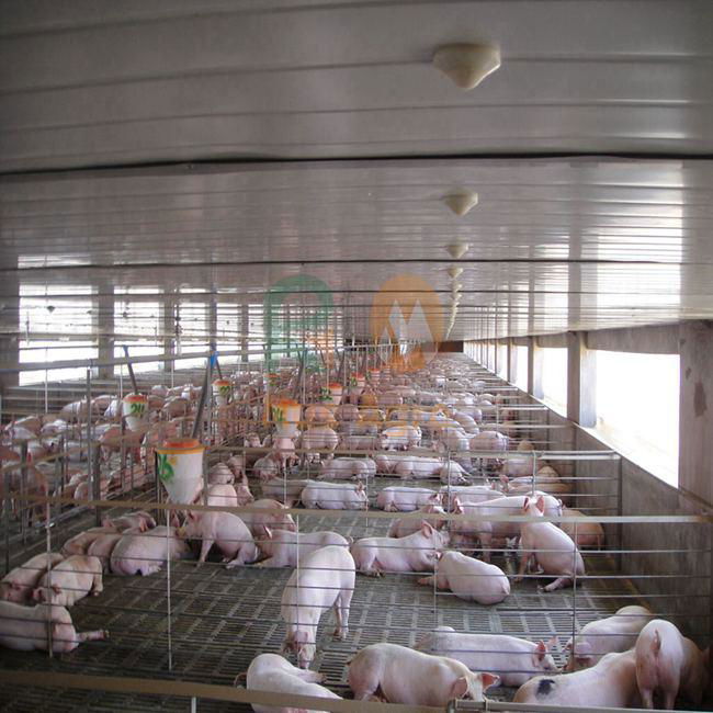 High quality automatic pig farm design floor feeding system equipment ...