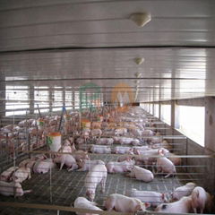 New product pig farming piggery equipment floor