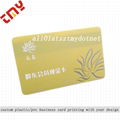 Custom Design Printed Blank Clear Plastic Gift Cards 1