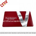 Custom Printable Clear Plastic Student Id Cards Printing 4