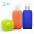 Wingenes Fashion design and colorful silicone glass water bottle with sleeve
