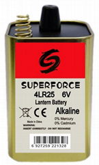 Pile Alcaline 6V 4LR25X , 4LR20X (Hot Product - 1*)