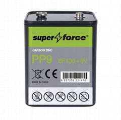 PP9 6F100 9V BATTERY