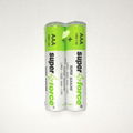 High Capacity Alkaline Batteries LR03