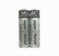 R6P AA size 1.5V Zinc Manganese Dry