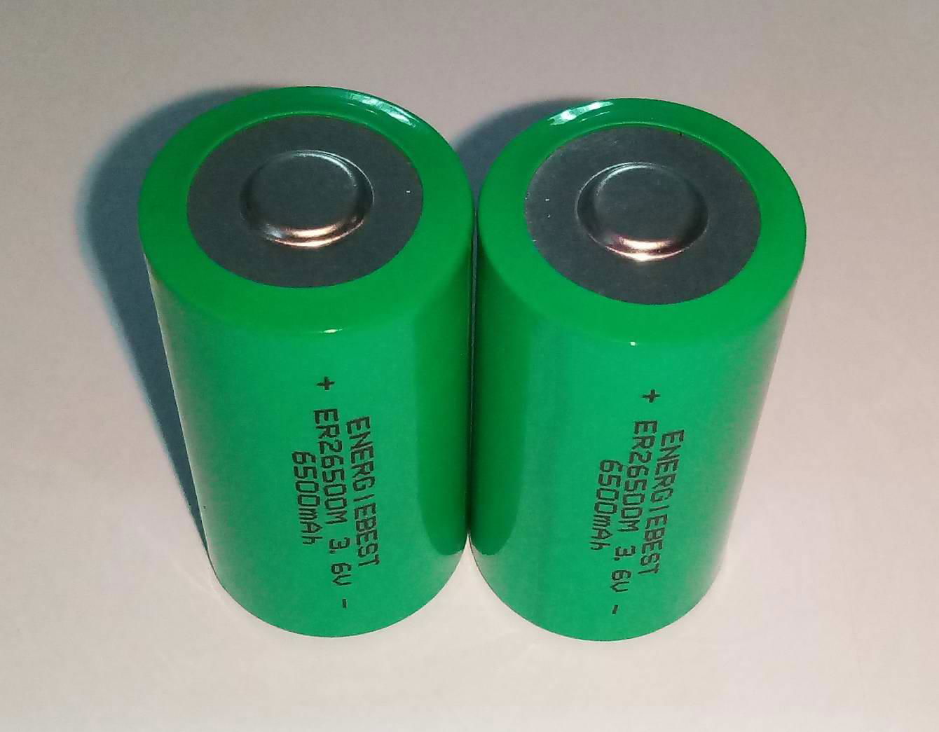 ER26500M 3.6V C size Li-SOCl2 Batteries 1