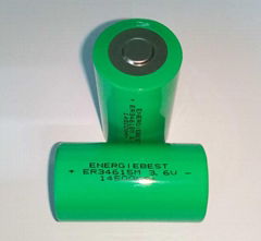 ER34615M 3.6V D size Li-SOCl2 Batteries