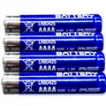 Alkaline Batteries LR8D425 LR61 AAAA