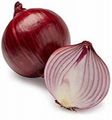 RED ONION