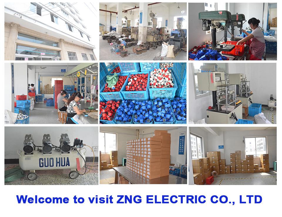 Wenzhou Zhegong Electric Co., Ltd (China Manufacturer) Company Profile