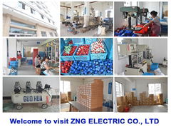 Wenzhou Zhegong Electric Co., Ltd