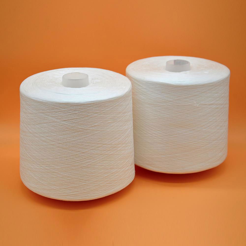 Plastic Spun Polyester Sewing Thread 40/2 Made in China