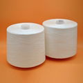 Plastic Spun Polyester Sewing Thread 40/2 Made in China 1