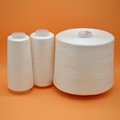 Plastic Spun Polyester Sewing Thread 40/2 Made in China 3